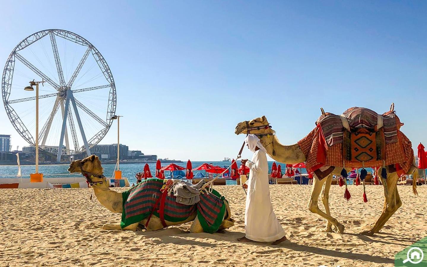 Murjan Jbr Apartments By Happy Season Dubai Esterno foto